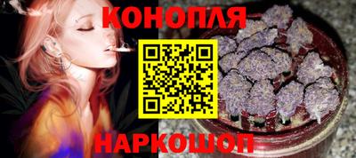 индика Моздок