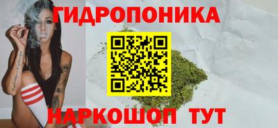 a pvp Можга