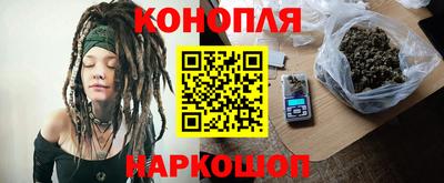 индика Моздок