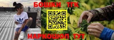 индика Моздок