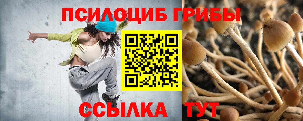 Галлюциногенные грибы GOLDEN TEACHER  Вход с VPN  Узловая  Псилоцибиновые грибы Psilocybine cubensis 